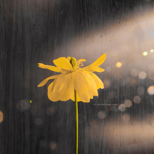 免费看裸体美人
